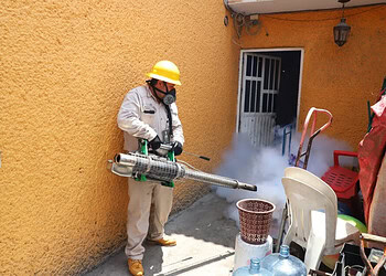 Personal de control de plagas usando equipo de fumigación en un espacio exterior.