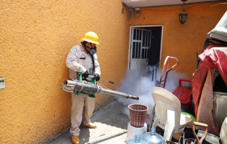 Personal de control de plagas usando equipo de fumigación en un espacio exterior.