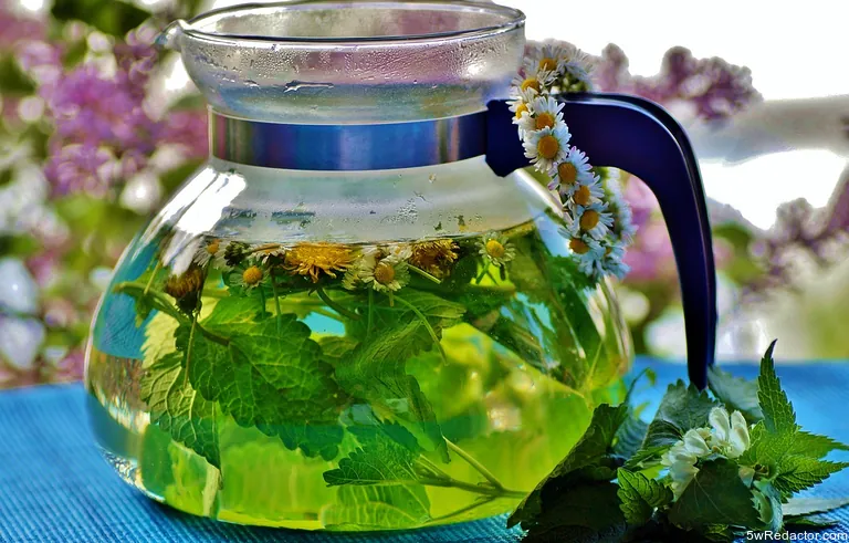 Infusion de hierbas