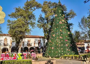 Árbol de Navidad decorado en un parque central, con edificios históricos y cielo azul de fondo.