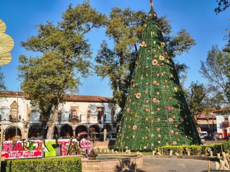 Árbol de Navidad decorado en un parque central, con edificios históricos y cielo azul de fondo.