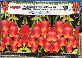 Petrolina Capital Mundial Mangos