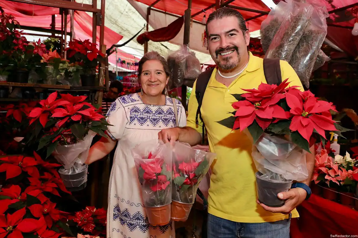 producción Nochebuena Michoacán