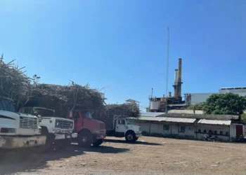 sector cañero Michoacán