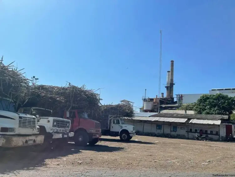 sector cañero Michoacán