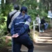 Santuarios de la Mariposa Monarca Michoacán seguridad