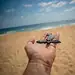 Tortuga marina en la mano en playa arenosa y oceano de fondo, conservación de especies marinas.