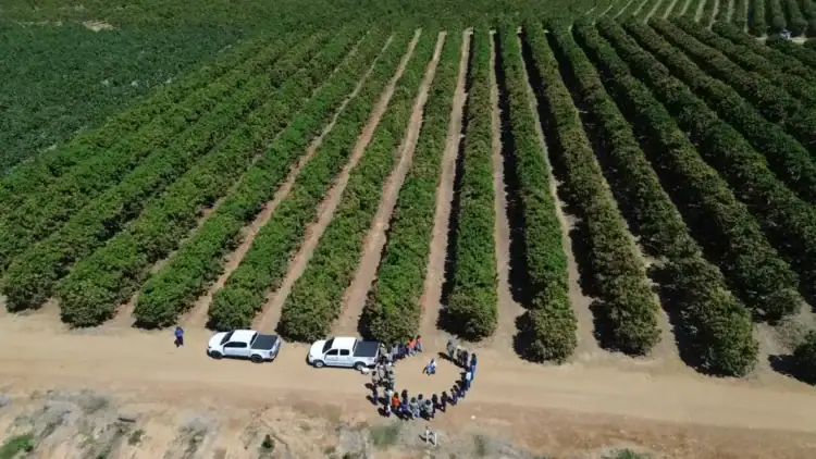 Campos agrícolas ecológicos en Brasil, con agricultores y maquinaria moderna.