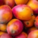 industria del mango en Estados Unidos 2026