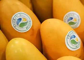 Mangos orgánicos de México con sello ecológico y certificación de origen.