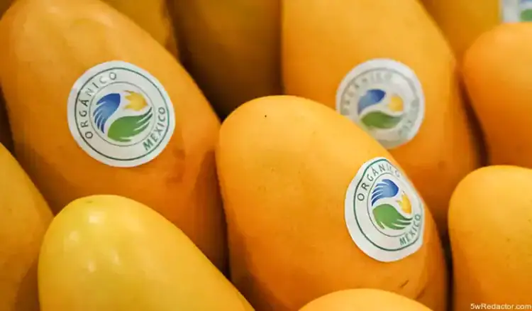 Mangos orgánicos de México con sello ecológico y certificación de origen.