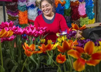producción de flores 14 de febrero