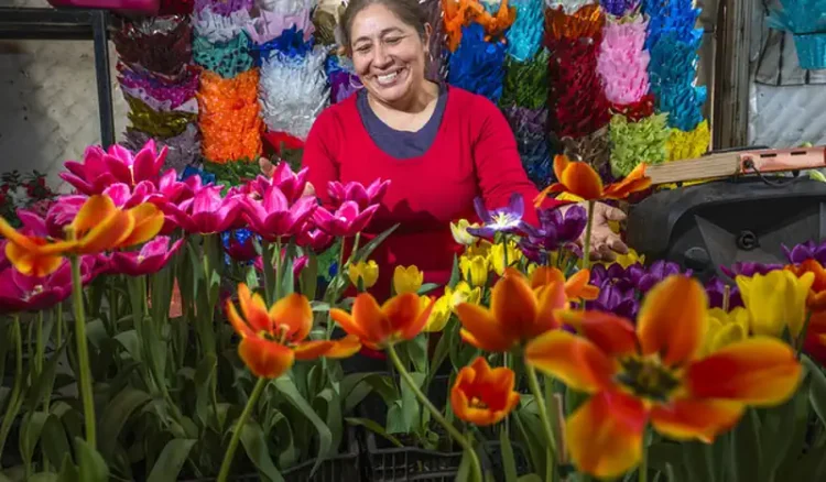 producción de flores 14 de febrero