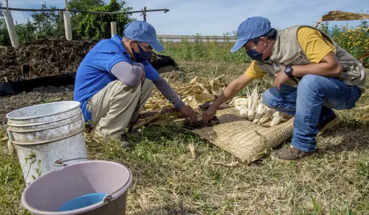 Universidad Autónoma Chapingo, agronomía, soberanía alimentaria, inteligencia artificial agrícola, agricultura regenerativa, tecnología agrícola, educación superior, Plan México
