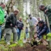 Plántulas de árbol en la Reserva de la Monarca durante una reforestación.
