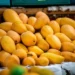 Mangos mexicanos frescos en exhibición para exportación y mercado local.