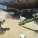 Maíz cosechado en un almacén agrícola con trabajadores en acción.