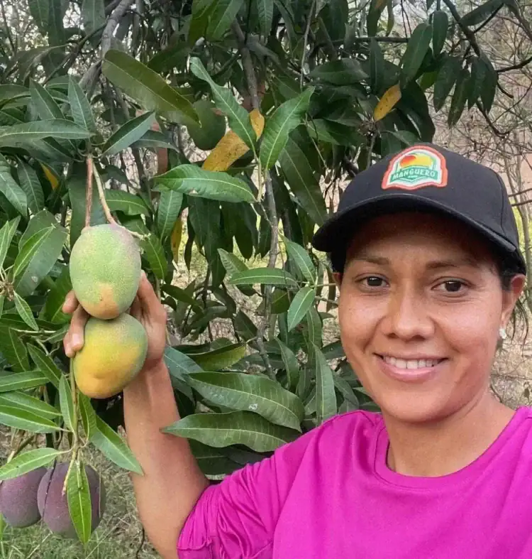 Árbol de mango con frutos maduros en Michoacán, rodeado de hojas verdes y una mujer sonriendo en el campo.