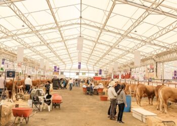 Congreso de las Estrellas 2026 Jalisco productores en Zapopan