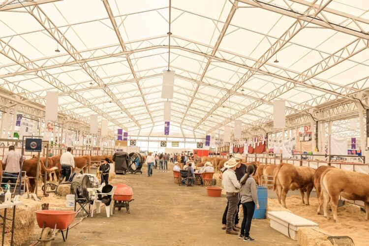 Congreso de las Estrellas 2026 Jalisco productores en Zapopan