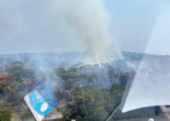 Incendio forestal en Tzitzio, Michoacán, bajo control tras intensa operación de bomberos y autoridades.