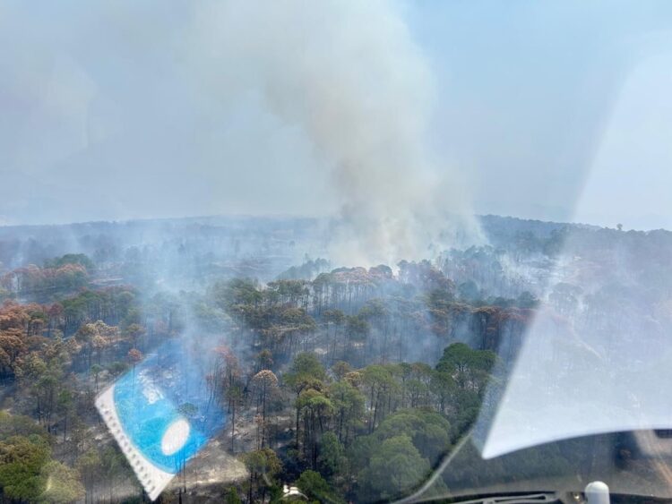 Incendio forestal en Tzitzio, Michoacán, bajo control tras intensa operación de bomberos y autoridades.
