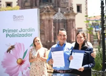 Abejas en Jardín Polinizador de Zamora, Michoacán, durante la inauguración oficial.