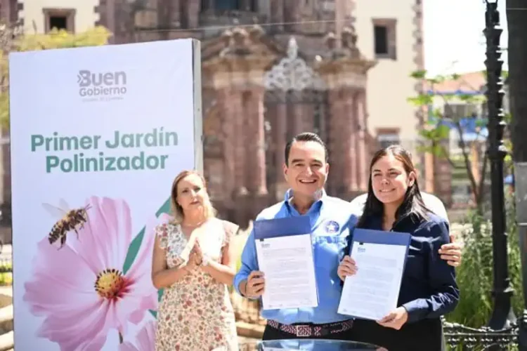 Abejas en Jardín Polinizador de Zamora, Michoacán, durante la inauguración oficial.