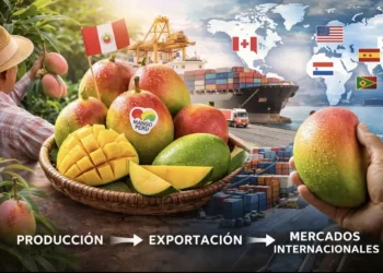 Fruta de mango peruano en un mercado internacional, con un barco de carga y mapas mundiales en el fondo, simbolizando la expa.