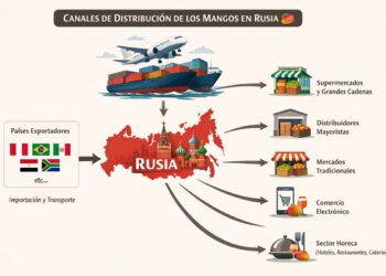Canales de distribución de mangos en Rusia, incluyendo supermercados, mayoristas y comercio electrónico.