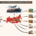 Canales de distribución de mangos en Rusia, incluyendo supermercados, mayoristas y comercio electrónico.