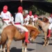 Eventos culturales de Semana Santa en Michoacán