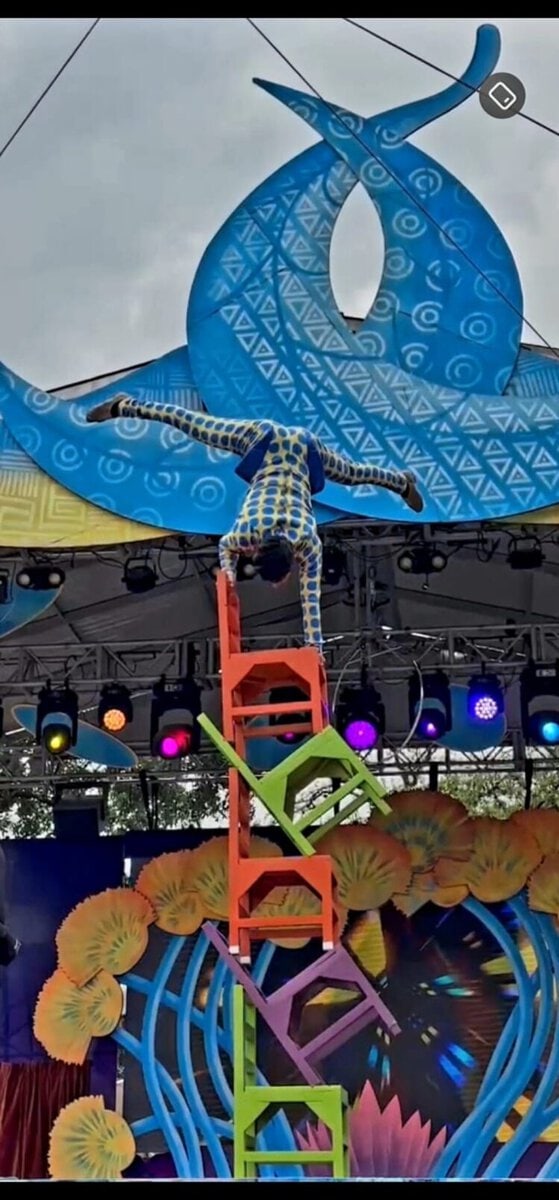 Tamaño del título: Círculo de Circo en México: Vida y Transformación.