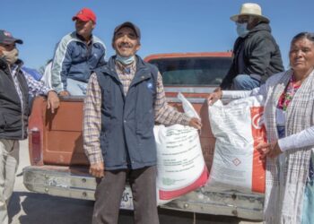 Personal entregando fertilizantes en una camioneta en un área rural de México.