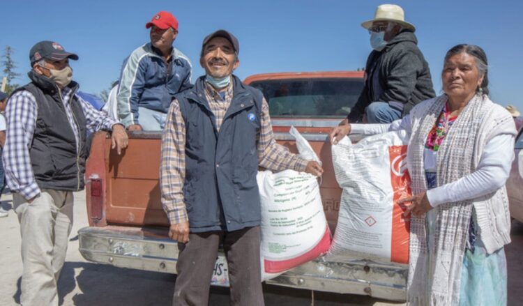 Personal entregando fertilizantes en una camioneta en un área rural de México.