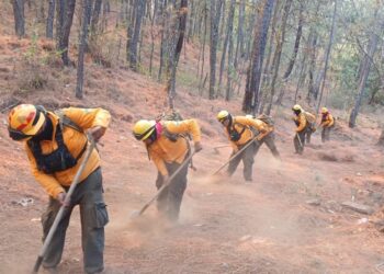 Trabajadores combaten un incendio forestal en un área boscosa de Nuevo Urecho, con esfuerzo coordinado para controlar las lla.