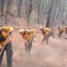 Trabajadores combaten un incendio forestal en un área boscosa de Nuevo Urecho, con esfuerzo coordinado para controlar las lla.