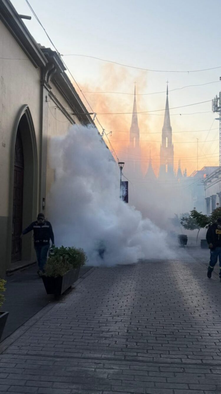 Fumigación en Zamora para prevenir el dengue en templos, con presencia de humo y personal de control de plagas en una calle h.