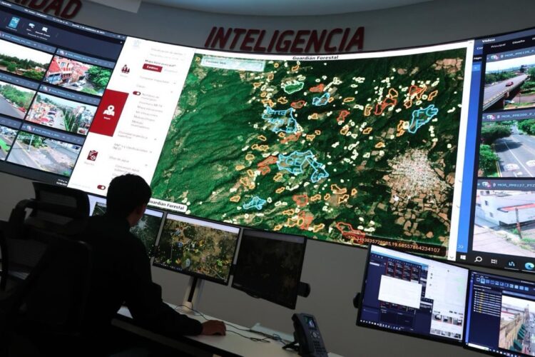 Monitoreo satelital de áreas forestales en EU para detectar y frenar la deforestación en zonas de aguacate.