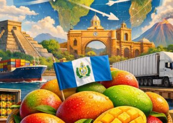 Mango guatemalteco, con bandera, rodeado de frutas, en un fondo de paisajes y transporte internacional.