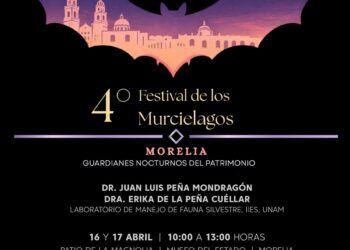 Murciélagos en el cartel del festival nocturno en el Museo del Estado de Morelia.
