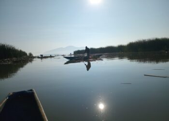 Manantiales en Pátzcuaro revelan 18 nuevas fuentes de agua en 2026, revitalizando el ecosistema y el turismo en la región.
