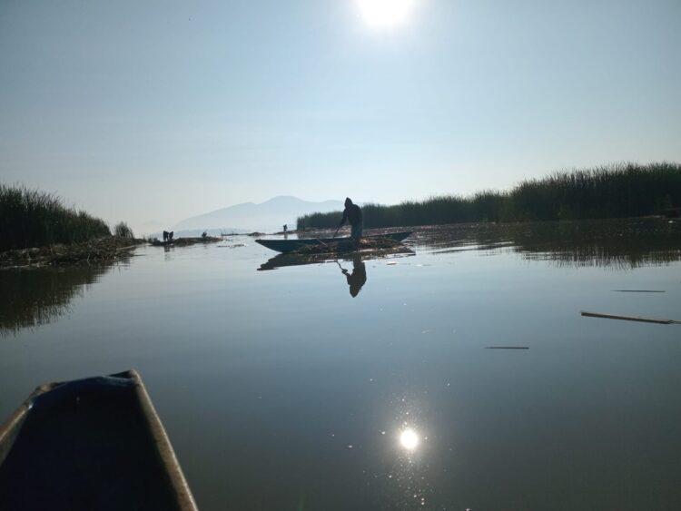 Manantiales en Pátzcuaro revelan 18 nuevas fuentes de agua en 2026, revitalizando el ecosistema y el turismo en la región.