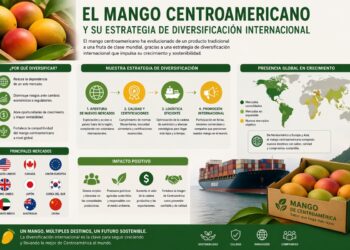 Diversificación del Mango Centroamericano para el Mercado Global.