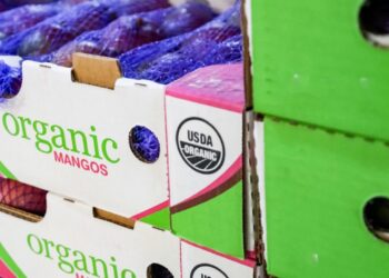 Caja de mangos orgánicos con certificación USDA Organic en un mercado.