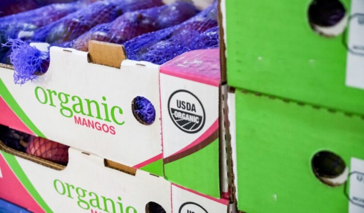 Caja de mangos orgánicos con certificación USDA Organic en un mercado.