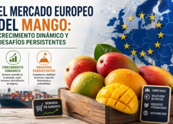 Amplia variedad de mangos frescos en un mercado europeo en expansión, enfrentando desafíos de sostenibilidad y demanda crecie.