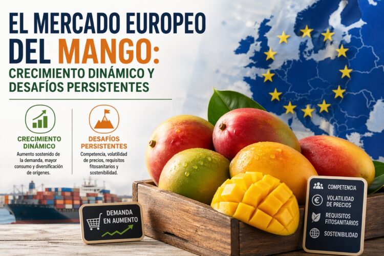 Amplia variedad de mangos frescos en un mercado europeo en expansión, enfrentando desafíos de sostenibilidad y demanda crecie.