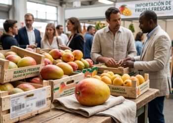 Amplia variedad de mangos frescos en exhibición en un mercado agrícola.