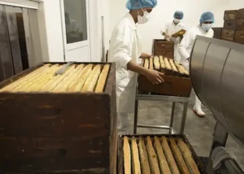 Panaderos en una panadería en Michoacán preparando churros tradicionales.